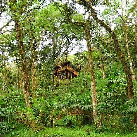 Seven Springs Resort Munnar Εξωτερικό φωτογραφία