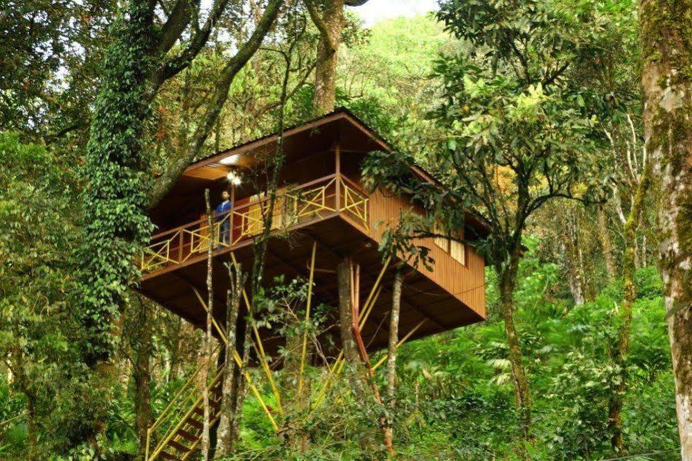 Seven Springs Resort Munnar Εξωτερικό φωτογραφία