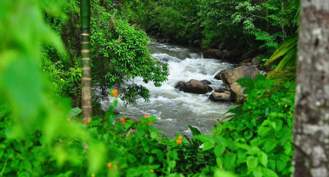 Seven Springs Resort Munnar Εξωτερικό φωτογραφία
